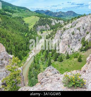 potentilla blüht auf einer Klippe hoch über dem Fluss dearborn an der felsigen Bergfront in der Nähe von augusta, montana Stockfoto