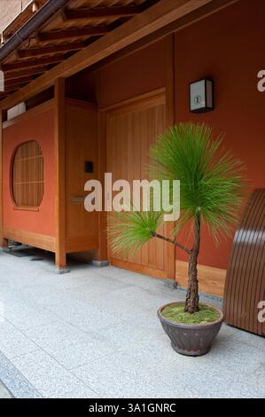 Kyoto machiya Stadthaus in Miyagawa-cho verwendet traditionelles architektonisches Design für eine einfache, saubere japanische Ästhetik mit einem Hauch natürlicher Kunst, Japan Stockfoto