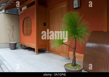 Kyoto machiya Stadthaus in Miyagawa-cho verwendet traditionelles architektonisches Design für eine einfache, saubere japanische Ästhetik mit einem Hauch natürlicher Kunst, Japan Stockfoto