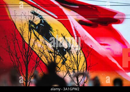 Italien. März 2025. Ferrari-Fans während der Präsentation des Formel-1-Fahrerteams Ferrari am 6. März 2025 auf dem Burgplatz in Mailand, Italien (Foto: © Tiziano Ballabio/Pacific Press via ZUMA Press Wire) NUR REDAKTIONELLE VERWENDUNG! Nicht für kommerzielle ZWECKE! Stockfoto