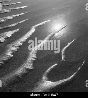 Creepers Entwürfe auf Sand in Porbandar Gebiet von Gujarat, Indien, Asien Stockfoto