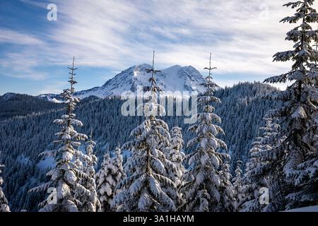 WA28170-00...WASHINGTON - Mount Rainier vom Winterski-Trail Tenth Mountain Brigade Memorial aus gesehen. Stockfoto