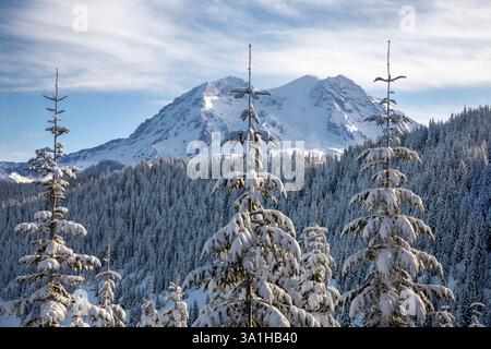 WA28171-00...WASHINGTON - Mount Rainier vom Winterski-Trail Tenth Mountain Brigade Memorial aus gesehen. Stockfoto