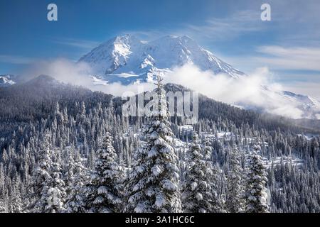 WA28188-00...WASHINGTON - Morgenlicht auf dem Mount Rainier vom Tenth Mountain Ridge Ski Trail. Stockfoto