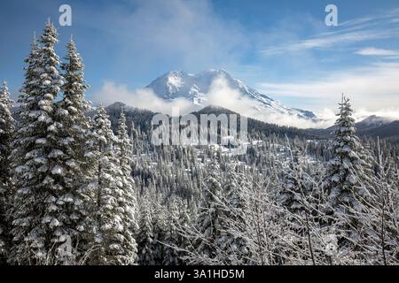 WA28193-00...WASHINGTON - Nebel um den Mount Rainier von der Langlaufroute der Tenth Mountain Division. Stockfoto