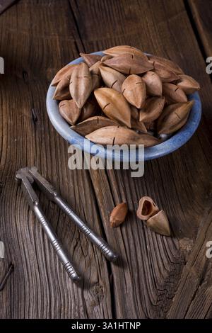 Canarium ovatum, allgemein bekannt als Pili ist eine Pflanzenart aus der Gattung der tropischen Baum Stockfoto