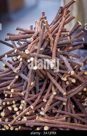 Haufen getrockneter Lakritz-Wurzeln mit rauer brauner Rinde und freiliegenden faserigen Enden, die eine natürliche strukturierte Anordnung von Kräuterstangen bilden. Stockfoto