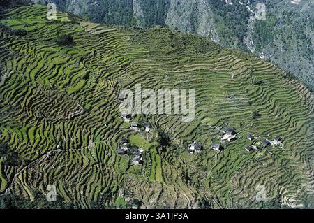 Steps-Fields NArth von Kathmandu, Nepal, Asien Stockfoto