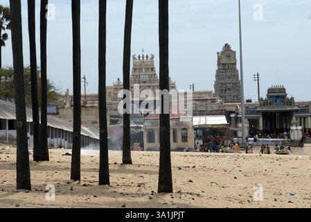 Blick auf den Subrahmanya Swami Tempel aus der Nähe von Palmenhain, Tiruchendur, Tamil Nadu, Indien, Asien Stockfoto