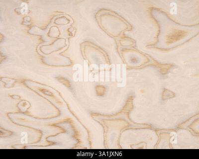 Sperrholzfurnier mit abstrakten organischen Formen mit einem weichen Farbverlauf von cremigen bis hellbraunen Tönen Stockfoto