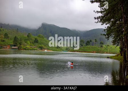 Ein Mann rudert bei Sonnenaufgang mit einem Boot über einen ruhigen See, mit nebeligen Bergen und Teeplantagen in der Ferne. Stockfoto