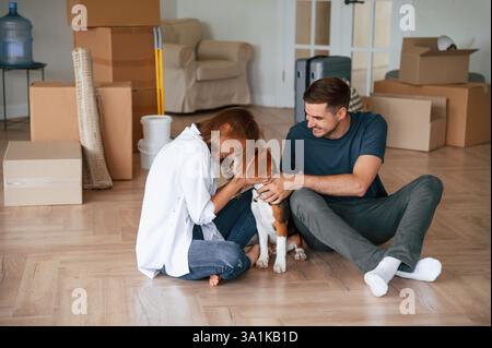 Mit Hund spielen. Das junge Paar zieht in ein neues Zuhause. Stockfoto