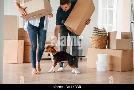 Ein junges Paar mit Hund zieht in ein neues Zuhause. Stockfoto