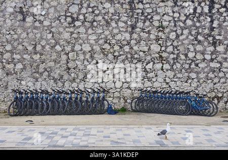 Eine Reihe blauer Fahrräder, die draußen an einer alten Steinmauer angereiht waren Stockfoto