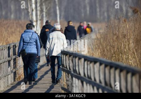 Bad Buchau, Deutschland. März 2025. Ausflügler spazieren über die Federseebrücke zum Federsee bei Sonnenschein bei Bad Buchau. Autor: Thomas Warnack/dpa/Alamy Live News Stockfoto