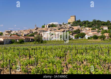 Typischer Weinberg mit Steinen in der Nähe von Chateauneuf-du-Pape, Cotes du Rhone, Frankreich Stockfoto