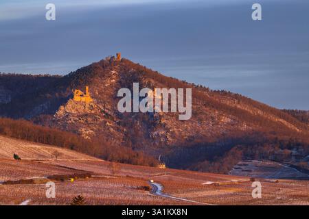 Ruinen von Catle Chateau de Saint-Ulrich, Chateau du Girsberg und Chateau du Haut-Ribeaupierre bei Ribeauville, Elsass, Frankreich Stockfoto
