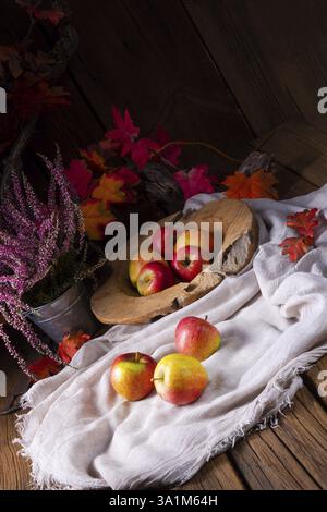 Malus sylvestris, der leckere europaeische Krabbenapfel Stockfoto