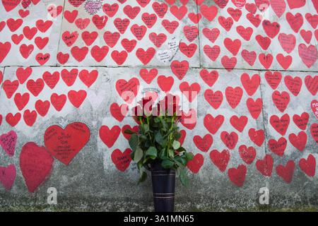 London, Großbritannien. März 2025. Die Blumen stehen neben der nationalen COVID-Gedenkmauer, die fünf Jahre COVID-19 markiert. Quelle: SOPA Images Limited/Alamy Live News Stockfoto