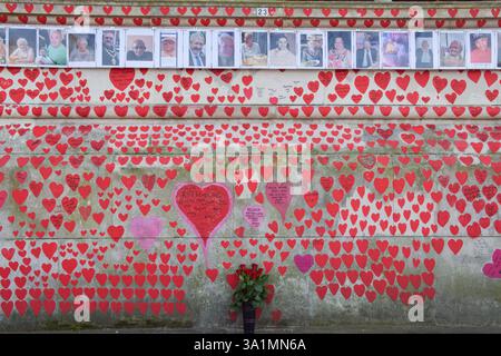 London, Großbritannien. März 2025. Bilder von Lieben hängen an der nationalen COVID-Gedenkmauer, die fünf Jahre COVID-19 markiert. Quelle: SOPA Images Limited/Alamy Live News Stockfoto