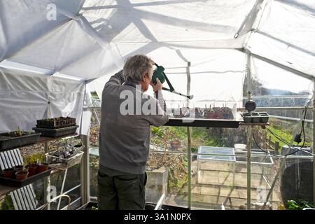 Mann Gartenarbeit Arbeiten im Gewächshaus Setzlinge mit Wasser bewässern im Frühjahr März Garten 2025 Carmarthenshire Wales UK KATHY DEWITT Stockfoto