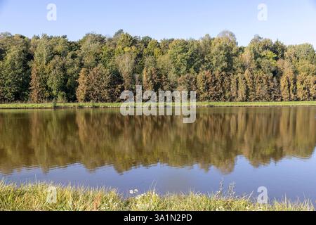 Ein See mit Bäumen am Ufer, die sich im Wasser spiegeln, ein Mischwald im Herbst an den Ufern eines Flusses oder Sees Stockfoto