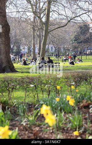 Sonnenschein und Blumen am Russell Square, einem großen Gartenplatz in Bloomsbury, London, Großbritannien Stockfoto