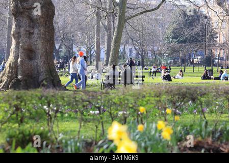 Sonnenschein und Blumen am Russell Square, einem großen Gartenplatz in Bloomsbury, London, Großbritannien Stockfoto