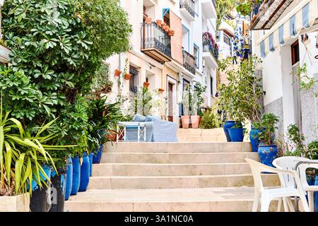 Charmante weiß getünchte Häuser mit blauen Akzenten, traditionelle schmiedeeiserne Balkone, Topfpflanzen und eine Treppe, die die Straße hinauf führt. Alicante, Costa Stockfoto
