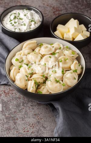 Russische Küche Knödel in einer Schüssel serviert mit Sauerrahm, Butter und Kräutern in Nahaufnahme auf dem Tisch. Vertikal Stockfoto