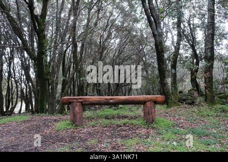 Rustikale Holzbank in einem Wald des Ätna-Parks, Sizilien, Italien Stockfoto