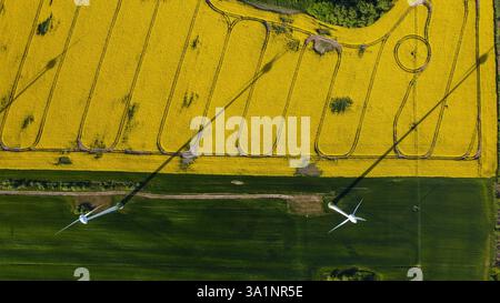 Luftaufnahme von Windturbinen, die lange Schatten über Felder werfen Stockfoto