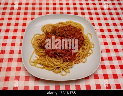 Eine großzügige Portion Spaghetti mit reichhaltiger Fleischsauce wird auf einem weißen Teller serviert. Die markante rot-weiße karierte Tischdecke verleiht dem Besucher einen besonderen Touch Stockfoto