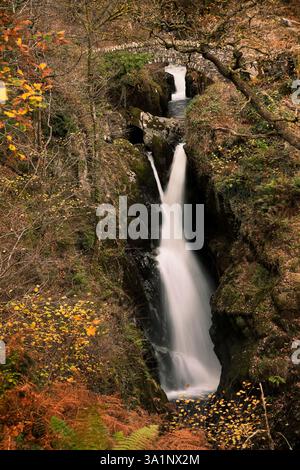 Die unteren Wasserfälle der Aira Force und die obere Fußgängerbrücke im englischen Lake District im Herbst Stockfoto