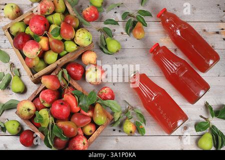 Apfel- und Birnenwein, Saft, Fruchtgetränk und Zutaten auf einem sonnigen Tisch, Hauskonserven. Das Konzept von Diät und Gewichtsverlust. Äpfel helfen bei der Reinigung des Stockfoto