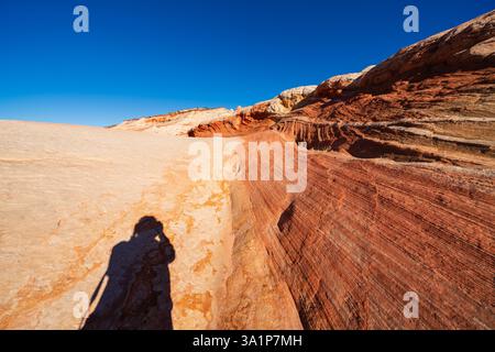 Farbenfrohe Felsformationen zeigen auffällige Muster in White Pocket im Vermilion Cliffs National Monument, Arizona, USA Stockfoto