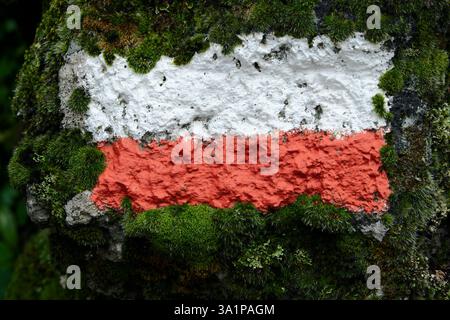 Nahaufnahme weiß-rote Wegmarkierung auf einem moosigen Stein im Ätna Park, Sizilien, Italien Stockfoto