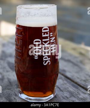 Ein Glas Bernsteinbier mit schäumendem Kopf mit der Aufschrift „Old Speckled Hen“, das draußen auf einem rustikalen Holztisch sitzt Stockfoto