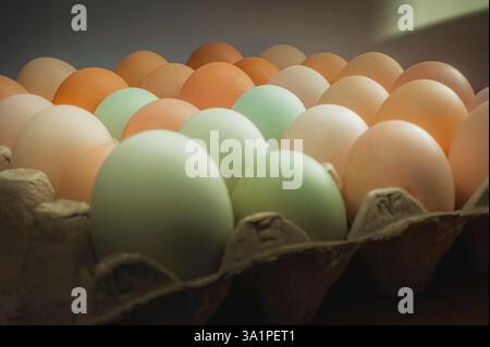 Ein Spektrum an Eiern: Braune, weiße und grüne Farbtöne füllen einen Karton, ein rustikales Stillleben, das die schlichte Schönheit der Natur einfängt. Stockfoto