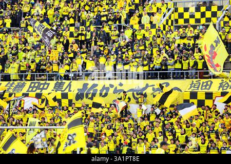 Sankyo Frontier Kashiwa Stadium, Chiba, Japan. März 2025. Kashiwa Reysol Fans, 8. MÄRZ 2025 - Fußball/Fußball : 2025 J1 League Spiel zwischen Kashiwa Reysol und Kashima Antlers im Sankyo Frontier Kashiwa Stadium, Chiba, Japan. Quelle: Naoki Nishimura/AFLO SPORT/Alamy Live News Stockfoto