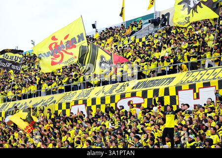 Sankyo Frontier Kashiwa Stadium, Chiba, Japan. März 2025. Kashiwa Reysol Fans, 8. MÄRZ 2025 - Fußball/Fußball : 2025 J1 League Spiel zwischen Kashiwa Reysol und Kashima Antlers im Sankyo Frontier Kashiwa Stadium, Chiba, Japan. Quelle: Naoki Nishimura/AFLO SPORT/Alamy Live News Stockfoto