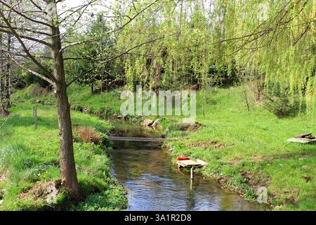 Ein sanfter Bach fließt durch eine üppige Frühlingslandschaft, umgeben von lebhaftem Grün. Sonnenlicht reflektiert das klare Wasser. Stockfoto