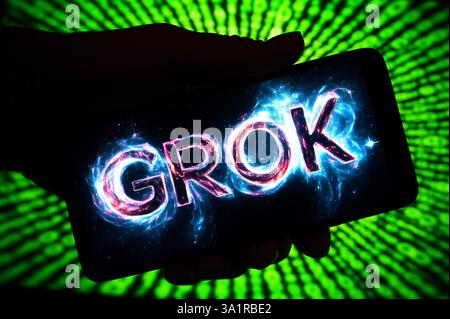 Ukraine. Dezember 2024. In dieser Abbildung ist ein Grok-Logo auf einem Smartphone-Bildschirm zu sehen. (Credit Image: © Pavlo Gonchar/SOPA Images via ZUMA Press Wire) NUR REDAKTIONELLE VERWENDUNG! Nicht für kommerzielle ZWECKE! Stockfoto