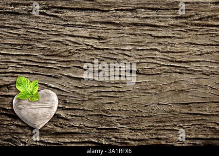 Horizontales Banner mit Holzherz auf Baumrinde. Ökologie, globale Wildtierressourcen, Öko, umweltfreundlich, Waldschutzkonzept. Umwelt und Konserva Stockfoto