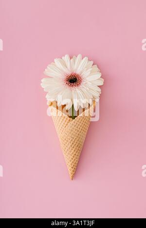 Schöne weiße Gerbera Gänseblümchenblume in Waffel Eiskegel auf pastellrosa Hintergrund. Minimales Frühlings- und Sommerkonzept. Flacher Style. Stockfoto
