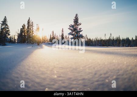 Goldenes Sonnenlicht strömt durch schneebedeckte Bäume in Trilleva Stockfoto