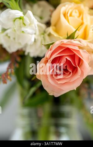Detailgetreues Porträt der Pfirsichrose in Blumenarrangements Stockfoto