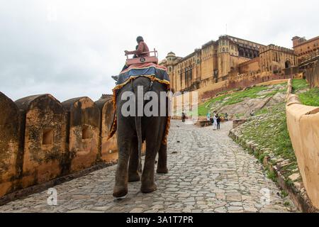 Jaipur, Rajasthan, Indien - 8-17-2022: Elefanten, die Touristen auf Amber Fort transportieren, historische Festung mit großer Architektur, Kulturerbe, Jaipur, Stockfoto