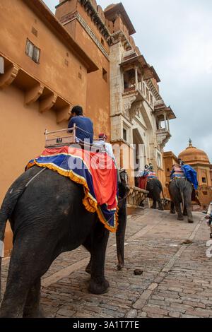 Jaipur, Rajasthan, Indien - 8-17-2022: Elefanten, die Touristen auf Amber Fort transportieren, historische Festung mit großer Architektur, Kulturerbe, Jaipur, Stockfoto