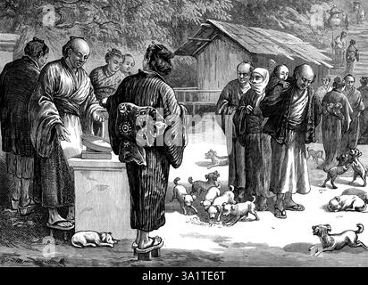 Sketches in Japan: Fütterung von Welpen am buddhistischen Tempel von Oyama, 1873. "Unser Spezialkünstler in Japan, nach dem Besuch des berühmten heiligen Berges Fusiyama, ging zu einem anderen namens Oyama, der uns weniger bekannt ist. Der Name wird erklärt: Das Silbenpräfix „O“ bedeutet „groß“ und wird in einem ehrenhaften Sinne verwendet, während „Yama“ „einen Berg“ bedeutet. Mr. Simpson beschreibt so eine Szene, die er dort gesehen hat: „Oyama ist etwa 6000 ft. Hoch und fein bewaldet, mit Tempeln an den Seiten, die großartige Wallfahrtsorte sind. Am Tag meines Besuchs habe ich Stockfoto